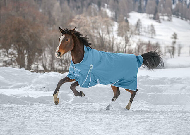 Neu THERMO MASTER Highneck Winter Outdoor Pferdedecke Kalina II, 100g, Dusty Sky, Gr.125 (OVP), Thermo Master Kalina II, Björn Lakeberg, Horse Blankets, Sheets & Coolers, Hatten, Image 3