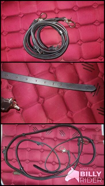 neue warmblut ausbinder, Karolina, Training Aids, Köln, Image 4