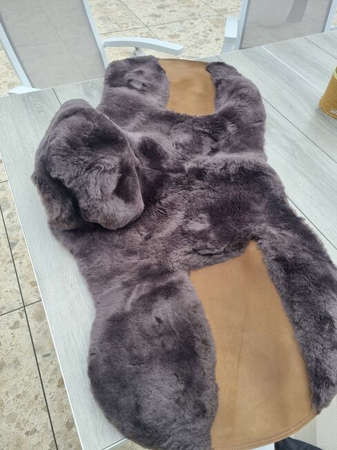 Neue Zalea für El Campo S3, Viola Nitsche, Saddle Accessories, Hürth, Image 2