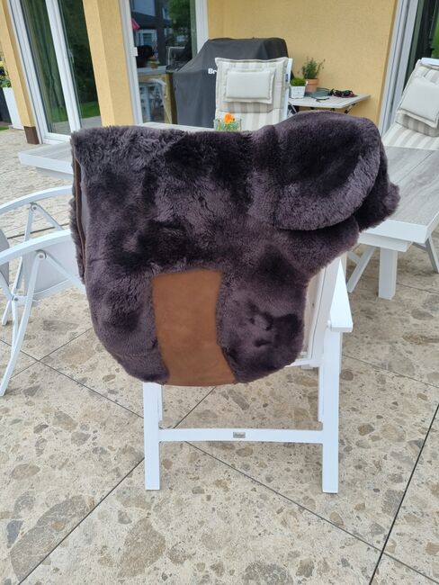 Neue Zalea für El Campo S3, Viola Nitsche, Saddle Accessories, Hürth