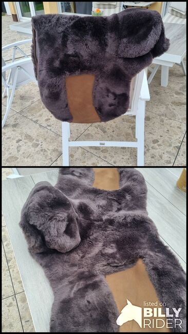 Neue Zalea für El Campo S3, Viola Nitsche, Saddle Accessories, Hürth, Image 3
