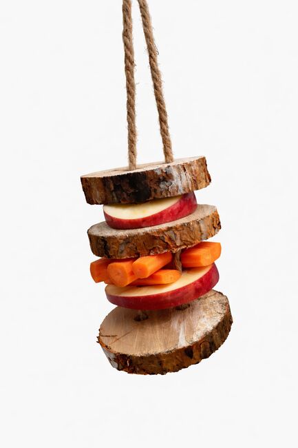 Knabberspielzeug für Pferde aus Birke - Dancing Birch, Nedwood Creations, Nedwood Creations, Tack Room & Stable Supplies, Hamm