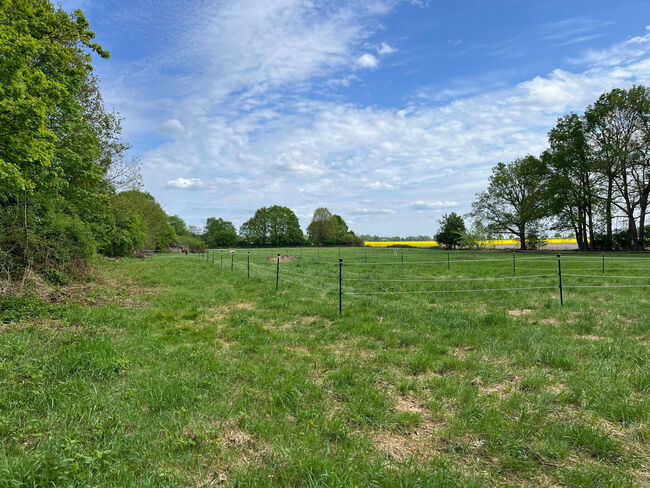 Niedersachsen, Altenmedingen - wunderschönes Landhaus für Pferdeliebhaber zu verkaufen, Sabine Wesseln, Maras World of Horses (Maras World of Horses, Maras World Solutions S.L.), Pferdeimmobilien, Altenmedingen, Abbildung 9