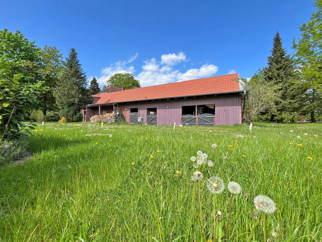 Niedersachsen, Altenmedingen - wunderschönes Landhaus für Pferdeliebhaber zu verkaufen, Sabine Wesseln, Maras World of Horses (Maras World of Horses, Maras World Solutions S.L.), Pferdeimmobilien, Altenmedingen, Abbildung 8