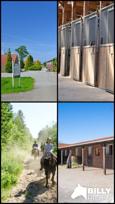 Niedersachsen, Ostfriesland, nahe Wittmund - Reiter/-Ferienhof zu verkaufen, Sabine Wesseln (Maras World of Horses, Maras World Solutions S.L.), Pferdeimmobilien, Wittmund, Abbildung 7