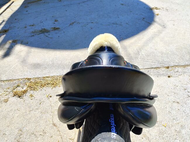 Niedersüß Akkord Vario, M und L Kammereisen, Niedersüß  Akkord , GS, Jumping Saddle, Buchen, Image 4
