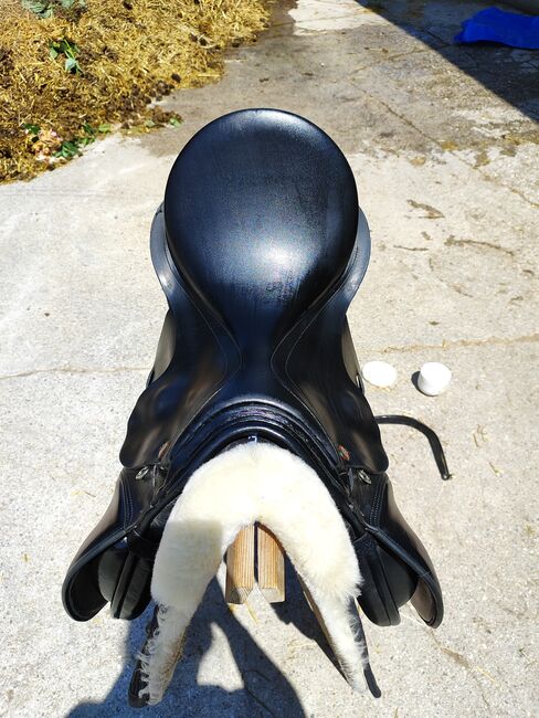 Niedersüß Akkord Vario, M und L Kammereisen, Niedersüß  Akkord , GS, Jumping Saddle, Buchen, Image 6