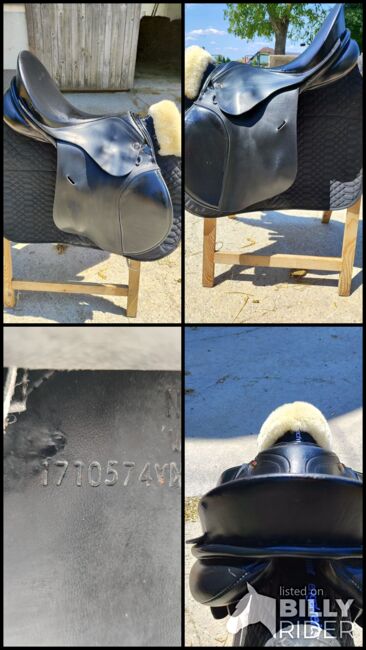 Niedersüß Akkord Vario, M und L Kammereisen, Niedersüß  Akkord , GS, Jumping Saddle, Buchen, Image 11