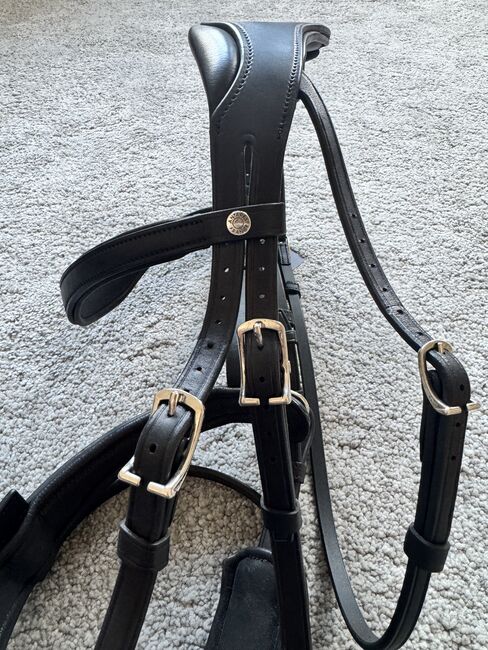 NEU - Antares Precision Dressurzaum Gr. WB, Antares Precision , Schwedeneisbecher85, Bridles & Headstalls, Dresden, Image 11