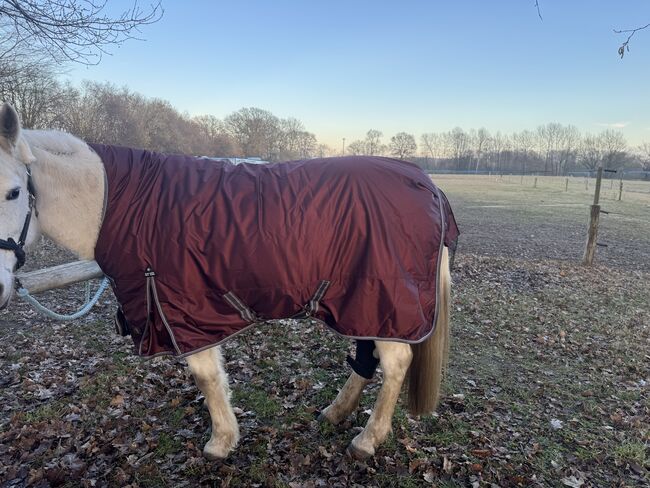 Neue Outdoordecke 130cm 150g, BR, Sophie , Horse Blankets, Sheets & Coolers, Lübeck, Image 2