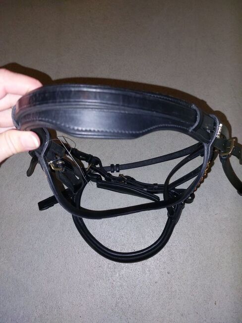 Neuer Kandarenzaum von Ascot, WB, schwarz/Messing, Ascot, Sandra, Bridles & Headstalls, Garching, Image 5