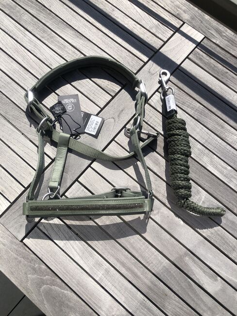 NEU ESKADRON Halfter Set Strick Ashgreen Platinum 2022 W WB grün olive, Eskadron, Hermine, Halters, Bremen