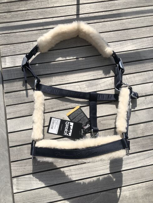 NEUES ESKADRON Halfter W WB Evo Wool Platinum Pure Navy Dunkelblau 2023, Eskadron, Hermine, Halters, Bremen