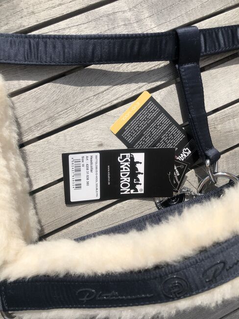 NEUES ESKADRON Halfter W WB Evo Wool Platinum Pure Navy Dunkelblau 2023, Eskadron, Hermine, Halters, Bremen, Image 3