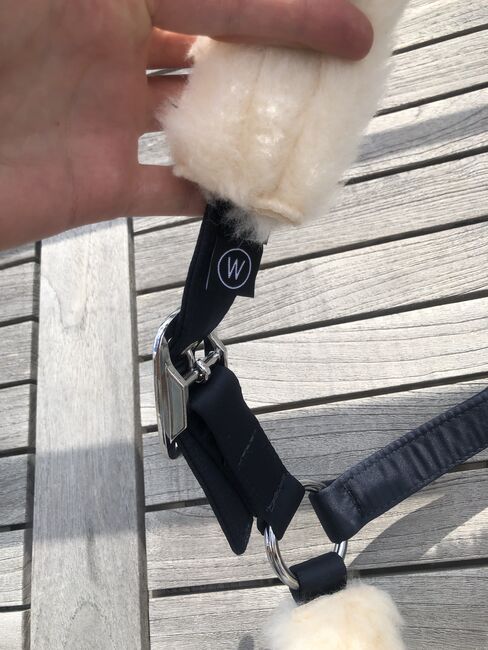 NEUES ESKADRON Halfter W WB Evo Wool Platinum Pure Navy Dunkelblau 2023, Eskadron, Hermine, Halters, Bremen, Image 6