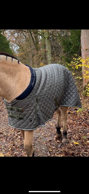 NEU! Eskadron Stalldecke gr. 135 cm Olivgrün/ Grau, Eskadron, Johanna , Horse Blankets, Sheets & Coolers, Berlin, Image 4