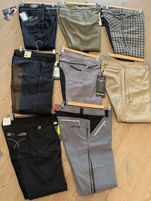 NEUE Reithosen Gr.42, Cavallo, Eurostar, QHP, USG..., Lissi, Breeches & Jodhpurs, Dornbirn