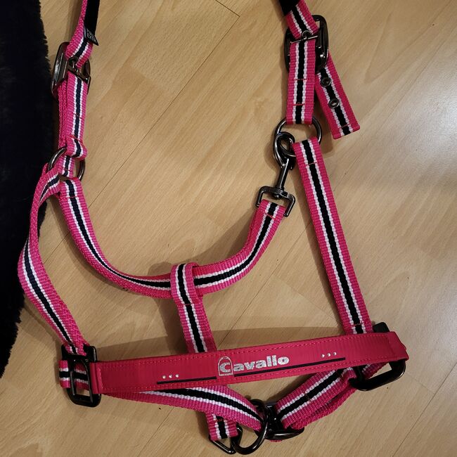 Neues, pinkfarbenes Cavallo-Halfter, WB, Cavallo, Nicola Röhring , Halters, Löhne, Image 4