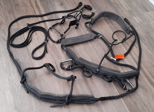 Neues Sieltec-Shetty-Einspännergeschirr, Sieltec Einspännergeschirr komplett Gr. 2 , Ilka, Horse Harness, Neustadt in Holstein