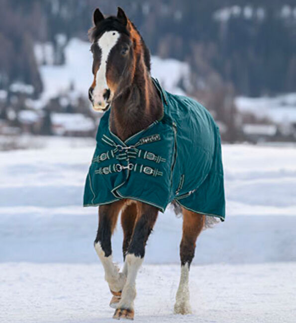 Neu THERMO MASTER Highneck Winter Outdoor Pferdedecke Jesco II, 200g, Petrol, Gr.125 (OVP), Thermo Master Jesco II, Björn Lakeberg, Horse Blankets, Sheets & Coolers, Hatten, Image 4