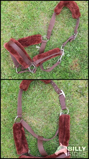 Neues Halfter Gr. Pony, Jasmin, Halters, Melle, Image 3