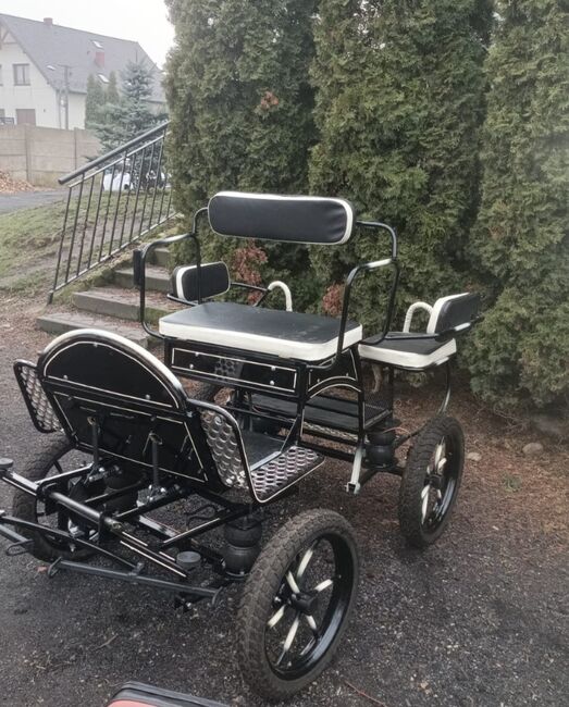 Neue Minishettykutsche mit Scheibenbremsen 90 kg leicht !, Heiko, Carriages, Naumburg