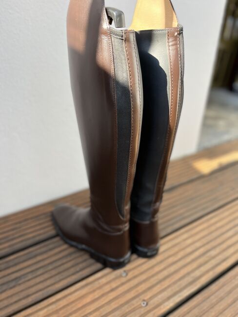 Neue Petrie Reitstiefel braun, Petrie , Andrea , Riding Boots, Soest , Image 2