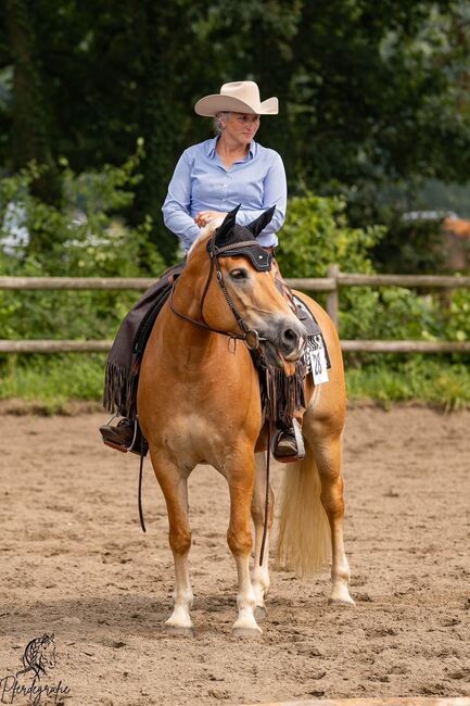 Zuverlässige und charakterstarke Partnerin, Kerstin Rehbehn (Pferdemarketing Ost), Konie na sprzedaż, Nienburg, Image 9