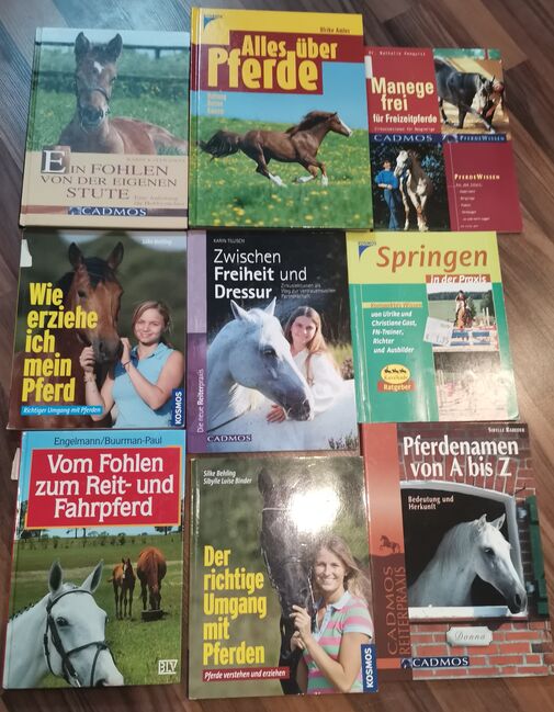Sachbücher Pferdebücher, V. Behren , Books, Weyhe