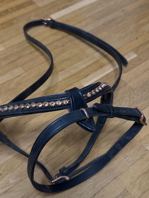 Nordic Horse Nasenriemen, Heide, Nosebands, Innsbruck