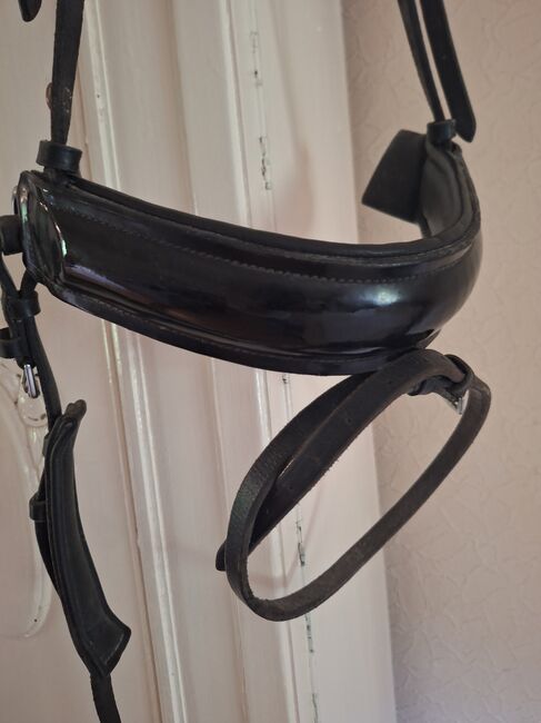 Nasenriemen extra! dickes ,breites Lackleder 5,5 cm ,TRENSENAUFWERTER, goldenes R auf rotem Hintergrund, Claudia Berndt-Jakobi, Bridles & Headstalls, Jagel