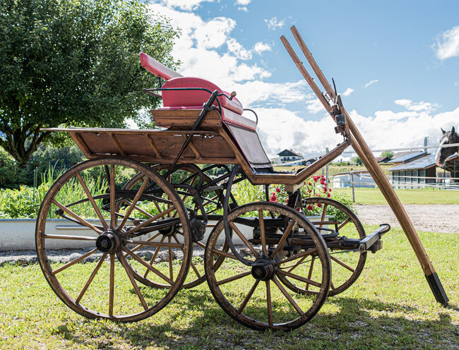 Nostalgie Holzkutsche - Steirerwagerl aus 1911, Nikolaus Wührer, Carriages, Scharnstein