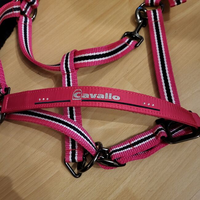 Neues, pinkfarbenes Cavallo-Halfter, WB, Cavallo, Nicola Röhring , Kantary, Löhne, Image 6