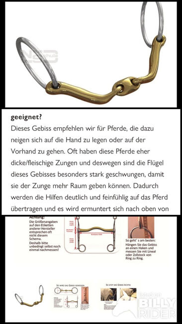 Neue Schule Gebiss, Neue Schule  Verbindendend, Privat , Wędzidła, Hamburg , Image 4