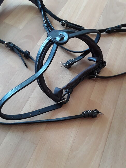 NEU 2x Zügel 2x Trensenzaum Trense Martingale Leder WB Full, Ellen, Ogłowia, Magdeburg, Image 4