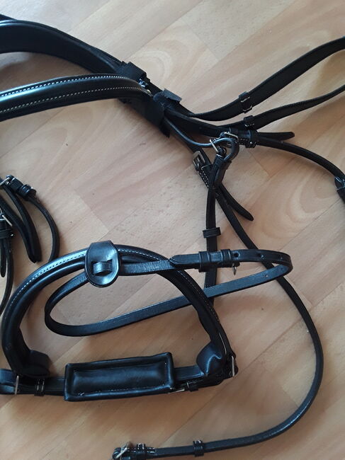 NEU nicht geritten Zügel Trense Martingal Leder WB Full, Ellen, Ogłowia, Magdeburg, Image 2