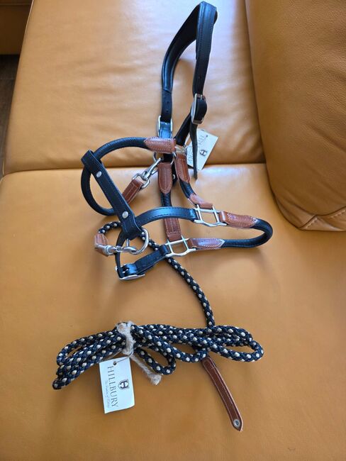 NEU mit Etikett Hillbury Lederhalfter Modena+ Seil Segeltau gratis dazu, Hillbury, Brigitta, Kantary, Eisgarn