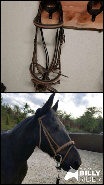 Trense aus Nubukk Leder, Kirsten Reiser, Bridles & Headstalls, Weil der Stadt, Image 3