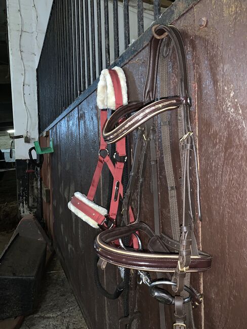 Neue Braune Trense, Covalliero, Denise Drosse , Bridles & Headstalls, Kyllburg, Image 3