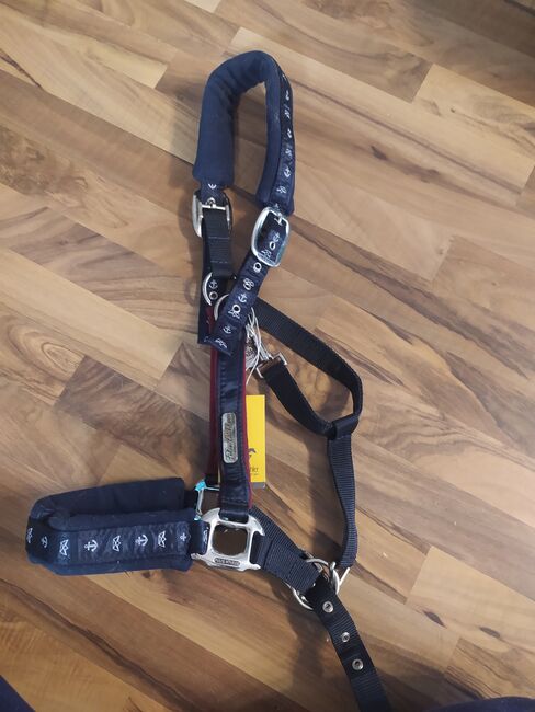 Neues Halfter von Felix Bühler, Felix Bühler , Saskia , Halters, Neuhausen auf den Fildern, Image 2