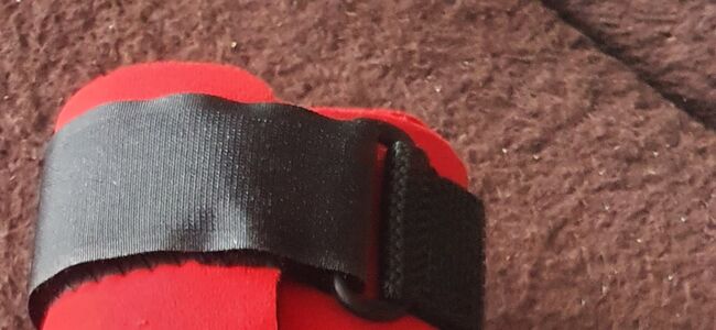 Neu! Sehnenschoner Equitex vorne, Gr. S, Gera, intergr. Fesselschutz, Klett, Rückführschlaufen, Gera, Andrea Schürmann, Tendon Boots, Lichtenau, Image 15