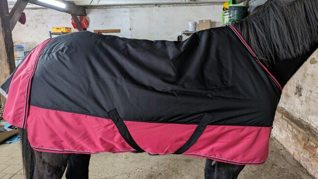 NEU - Equitheme Decke - 125cm - 150g, Equitheme, Katja, Horse Blankets, Sheets & Coolers, Halle (Saale)