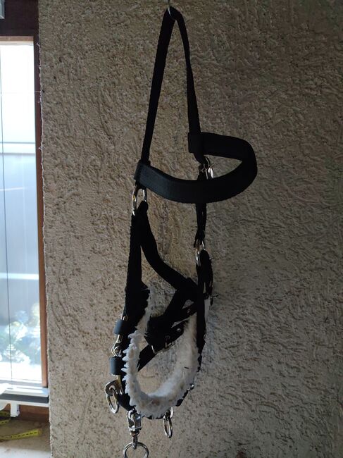 Kappzaum Nylon  Gr. Full, Almut Stachel , Lonżowanie, Knittelsheim