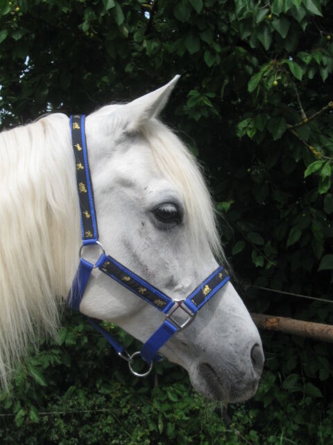 Nylon-Halfter mit Applikationen Größe Cop, Halfter, Una (Horse-design), Kantary, Rot am See
