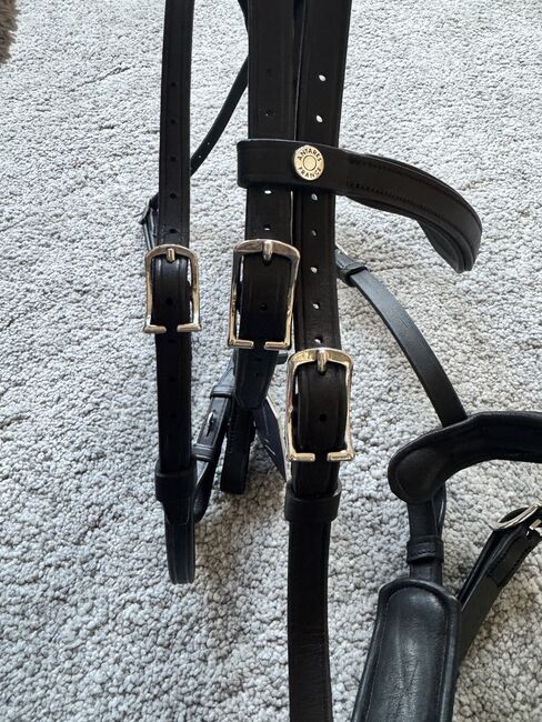 NEU - Antares Precision Dressurzaum Gr. WB, Antares Precision , Schwedeneisbecher85, Bridles & Headstalls, Dresden, Image 10