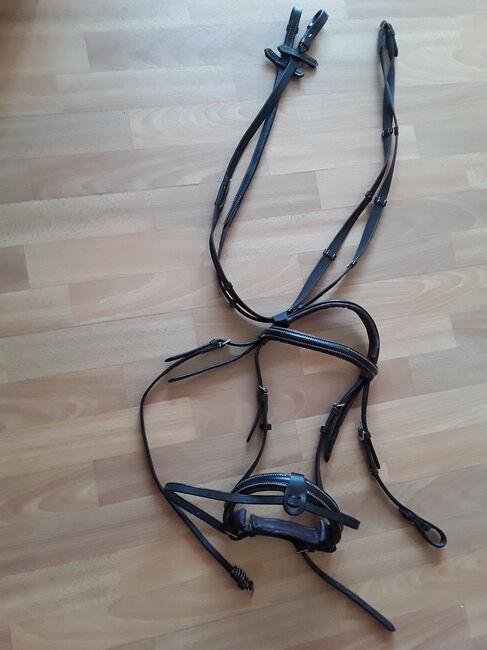 NEU nicht geritten Zügel Trense Martingal Leder WB Full, Ellen, Bridles & Headstalls, Magdeburg, Image 8