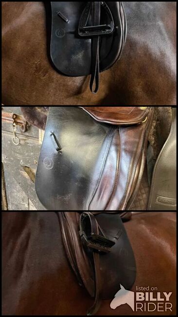 Oakfield House 17" medium  show saddle, Emma, Sonstiger Sattel, Blackburn , Abbildung 4