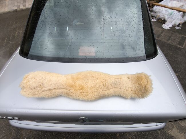 Lammfellsattelgurt zu verkaufen!, BR  Kurzgurt , Lange , Popręgi, Breitungen