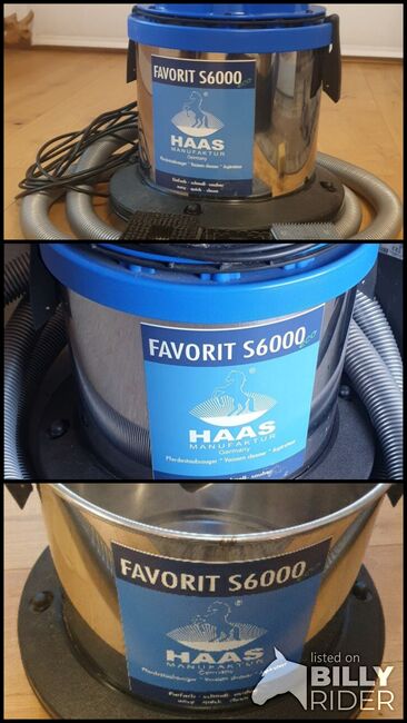HAAS Pferdestaubsauger, HAAS ECO Favorit S 6000, Corinna , Czyszczenie konia, Großostheim, Image 4