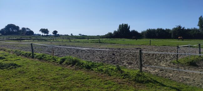 Offenstallplatz für Kur und Dauerplatz frei, Geraldine , Horse Stables, Tating , Image 8